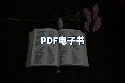 PDF电子书